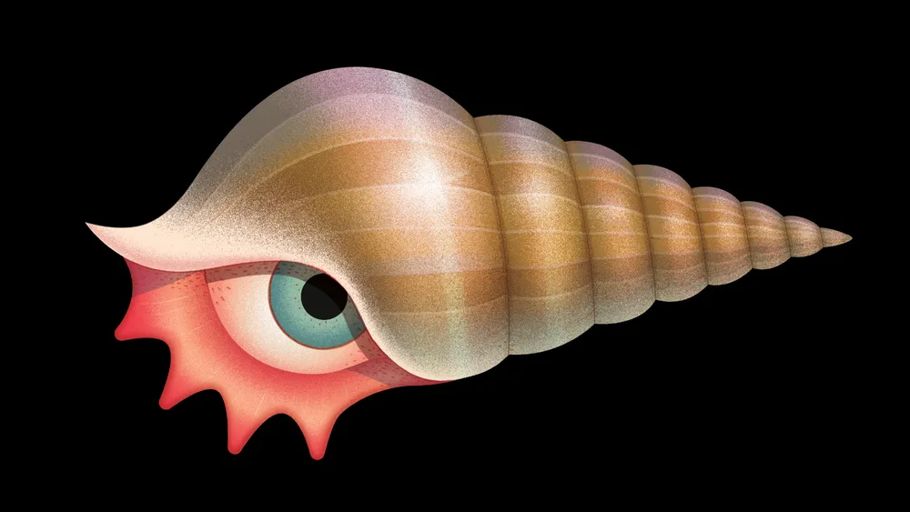 Homewardbooks snailthing