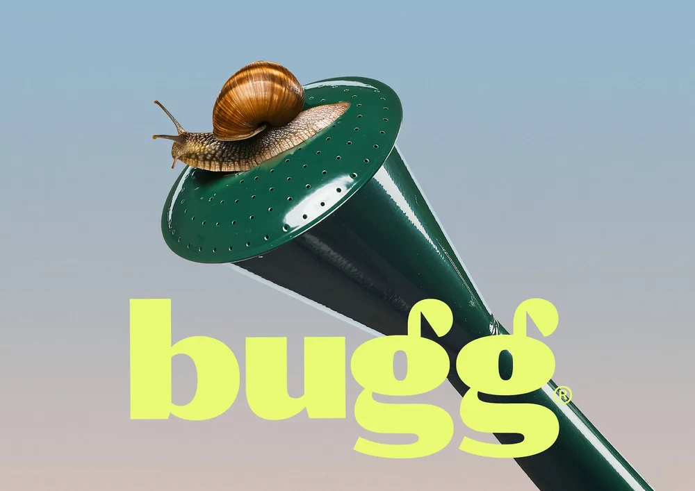 Bugg2