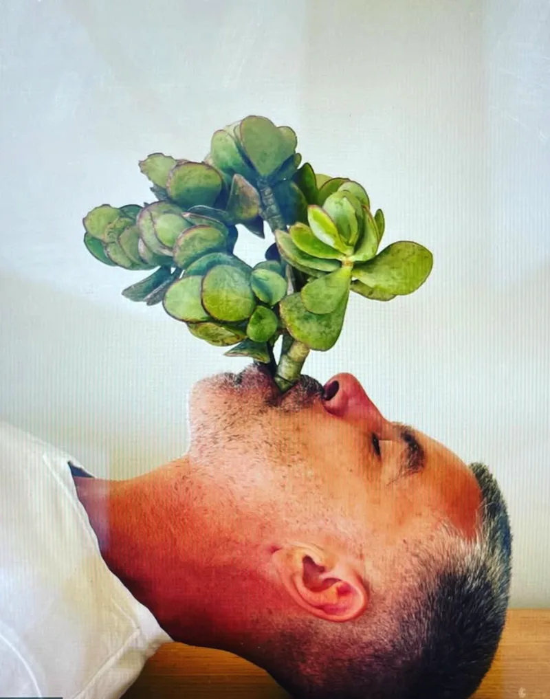 humanvase